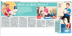 krone2013_topphysio_thumb